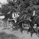 Arreio_Pferdegespann