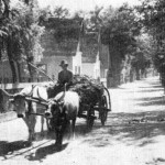 Carro Boi_Kuhgespann